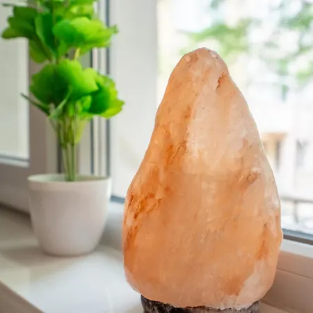 Gem By Vitoshka Street Appartement *