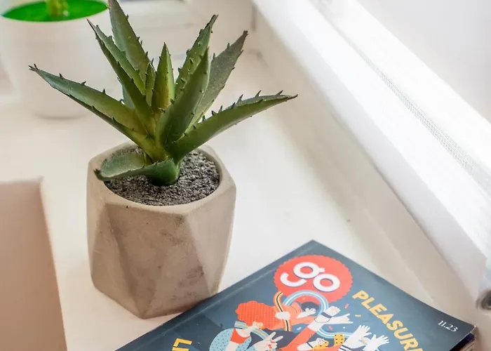 Gem By Vitoshka Street *